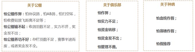 開(kāi)爾鴿業(yè)品牌全案服務(wù)