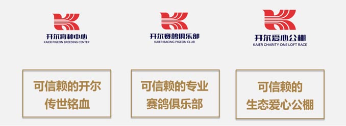 開(kāi)爾鴿業(yè)品牌全案服務(wù)