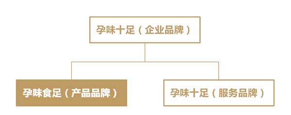 歐賽斯超級品牌引擎® 新冠軍商業(yè)實(shí)戰(zhàn)案例：孕味食足