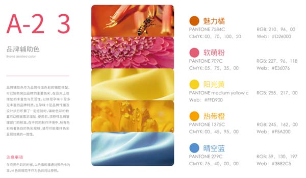 歐賽斯超級品牌引擎® 新冠軍商業(yè)實(shí)戰(zhàn)案例：孕味食足